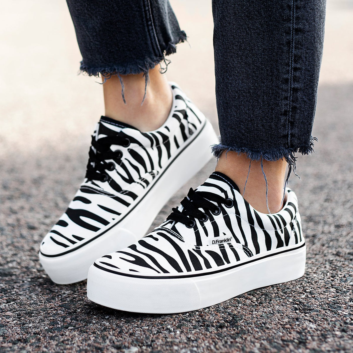 Eclipse Zebra